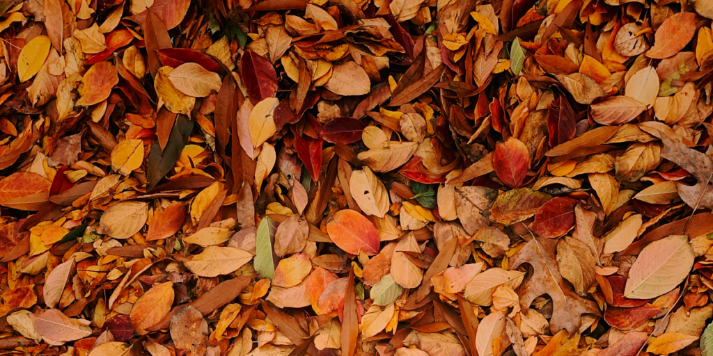 Top 10 TV shows returning in Autumn 2023 Restore TV