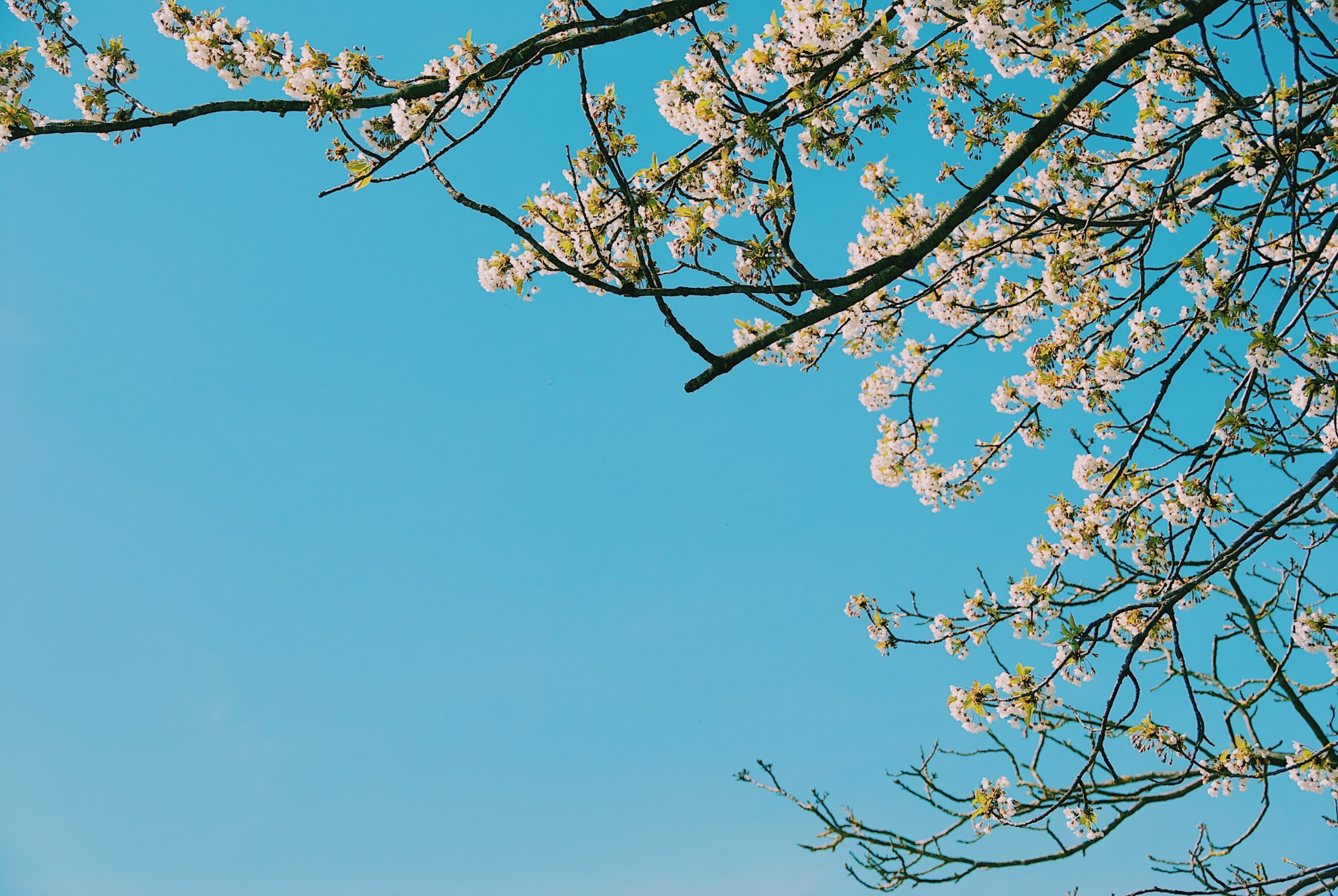 blog banner